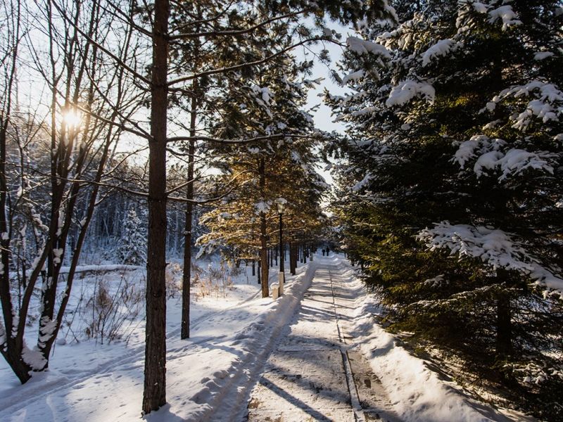 Санаторий "Электра" Иркутск